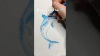 Quick colored pencil drawing 🐬 ✍️ #fyp #art #drawing #viral #dolphin #dolphinart #traditionalart