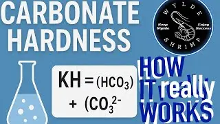 Understanding KH in aquariums (Carbonate Hardness)