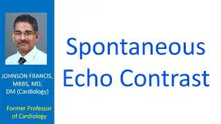 Spontaneous Echo Contrast