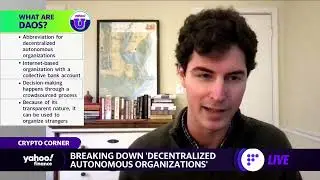 Crypto: What are DAOs? What to know about these 'funky crypto organizations'