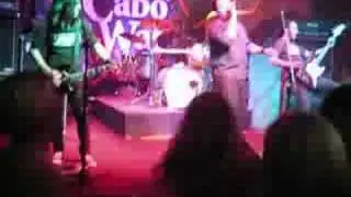 Strogeno at Cabo Wabo AC/DC