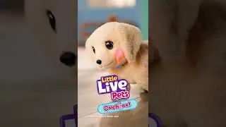 LITTLE LIVE PETS I Ouchies Shorts I 6