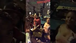 La cotorra musical