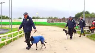 TIME Greyhound Nutrition Graders Derby Final at Limerick Greyhound Stadium