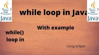 while loop in java