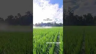 sprayer 2tak | tanika modif thailand