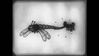 Silly Symphony - Summer (1930) - (16mm Film Rip) - Classic Walt Disney Sound Cartoon