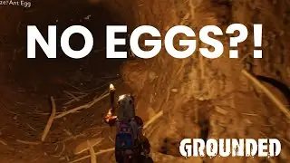 Не могу найти ЯЙЦА МУРАВЬЕВ в Grounded, они не размножаются!?