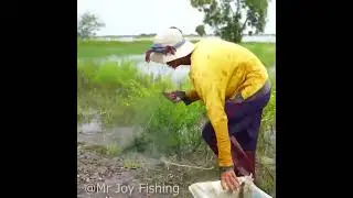 fish on the way! new crazy fishing video 2024#fishing #fish #amazing