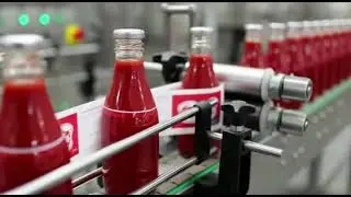 Inside the World's Most Advanced Tomato Factory: Full Production Process