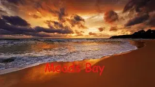 CoLd Friction & Gobbly FT Margo Elena (Secret Kingdom) -Meads Bay