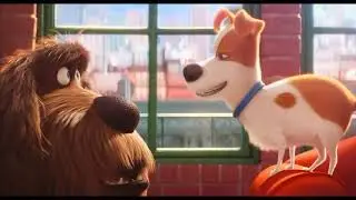 The Secret Life of Pets Movie CLIP - Trashing the Apartment (2016) (Reversed)