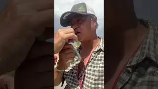 Selfie Gone Wrong: Do Not Do This 2 Any Snake: Snakes Gone Wild: #funny #funnyvideo #shorts #animal