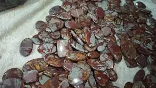 Noreena Jasper Crystals Stone for Jewelry