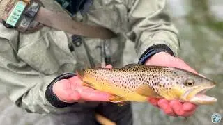 S5, Ep 55: Central PA Fishing Report with TCO Fly Shop