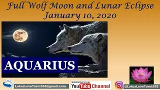 Aquarius What Aren't You Committing To?!? - Full Moon Reading - January 10, 2020