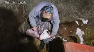 AKŞAM YEMEĞİ BALIK TAVA. 