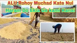 Exam Muchad Kate Aalu Rohoy || আলু রহয় হুয়না || সাঁওতালি ভিডিও || Santali Lifestyle Vlog 