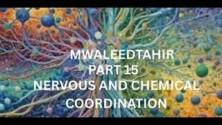 NERVOUS AND CHEMICAL COORDINATION part 15 mcqs series for Medical and Dental College Admission Test