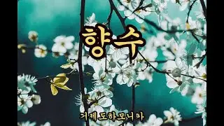 #하모니카#향수#이동원박인수#정지용김희갑#mr반주음악하모니카연주#김대동거제도하모니카