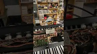 Crumar digital synthesizer DS 2 #synthesizer #crumar #teardown #electronicsrepair