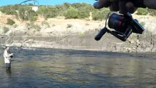 LUCIOPERCAS EN RIO EN  VERANO