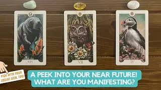 A Peek Into Your Near Future! What Are You Manifesting?