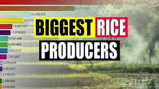 World's Largest Rice Producing Countries from 1963 to 2020