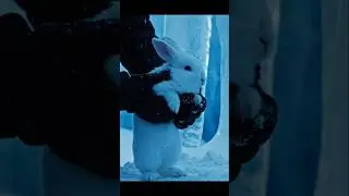 This Rabbit Survived -71&deg;C in an Ice Cave 🧊#rabbit #servival#cave#shorts