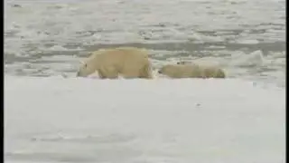 Grainger's World On Thin Ice Preview