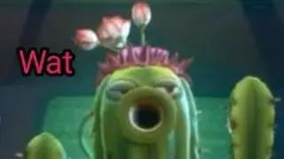 Randos Revenge but Cactus