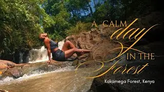 A PEACEFUL DAY IN THE KAKAMEGA FOREST 🌿 | Nature Therapy Vlog