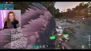 SPLIT STREAM! Taming a Spino & RV There Yet With Friends! Ark Survival Ascended Ep 46