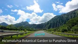 Hoomaluhia Botanical Garden to Punahou Street | Honolulu, Oahu, Hawaii, USA 🌴 Hawaii 4K Driving