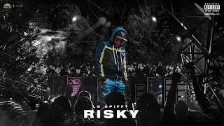 LB Spiffy - RISKY (Official Audio)