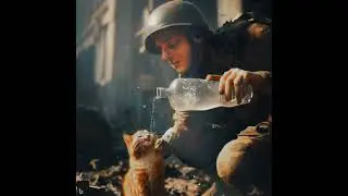 It is not only humans who suffer in a war. Animals suffer too.😿🥺 #catwar #war#warrior #catlover #cat