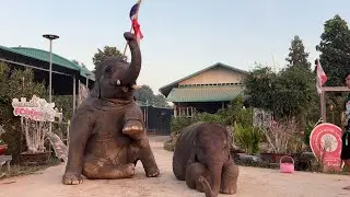 สองพี่น้อง  เป็นสะพานบุญ  ให้คุณมายfcเขาใหญ่