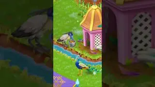 New Capped Heron Bird unlock in Hayday #hayday #haydaygameplay #shortvideo #shortvideo #haydayshorts