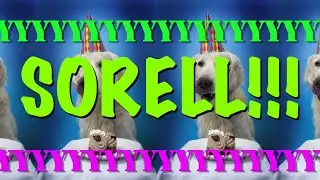 HAPPY BIRTHDAY SORELL! - EPIC Happy Birthday Song