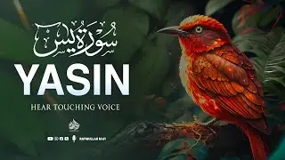 Surah Yaseen | Ultimate Quran for Anxiety Relief & Spiritual Healing #surahyasin