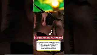 Kafa Masaj Terapi &Ccedil;ekmek&ouml;y & İstanbul #kafamasaj #masaj #istanbulkafamasaj #&ccedil;ekmek&ouml;ykafamasaj