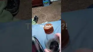 My Rootbeer screams at me 🍺😦🍺