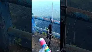 how to reload dart airgun for fishing