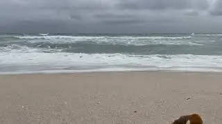 60 Seconds of Ocean Calm 🌊 | Stormy Waves at Number 16 Beach Rye 🤍