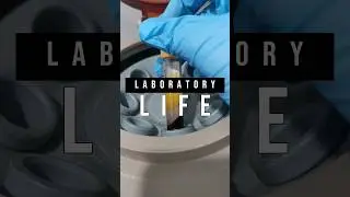 My everyday job as a medical technologist #laboratory #mls #cls #medtechstudent #laboratorylife #rmt
