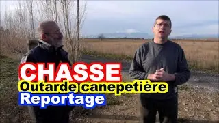 CHASSE : Comptage migrateur et outarde canepeti&egrave;re (Tetrax tetrax)