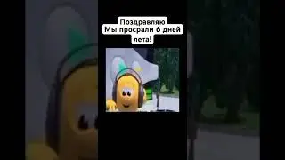 Мы просрали 6 дней лета