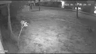 orb 2