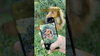 iPhone 16e оснащен новой 48-мегапиксельной камерой с комбинированным объективом, которая делает п...