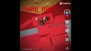 @realrosa need help!?